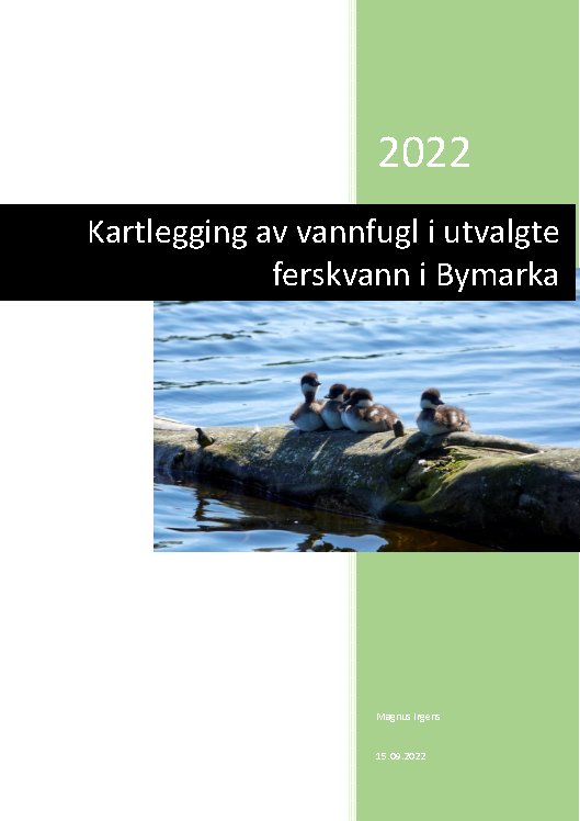 Rapport: Kartlegging av vannfugl i Bymarka 2022