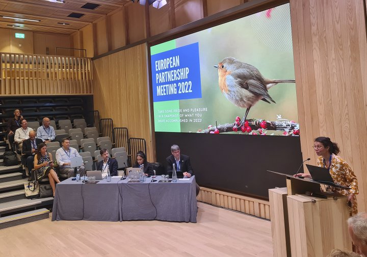 BirdLife european partnership meeting