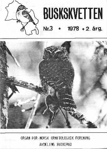Buskskvetten nr. 3 1978 Buskskvetten nr. 3 1978