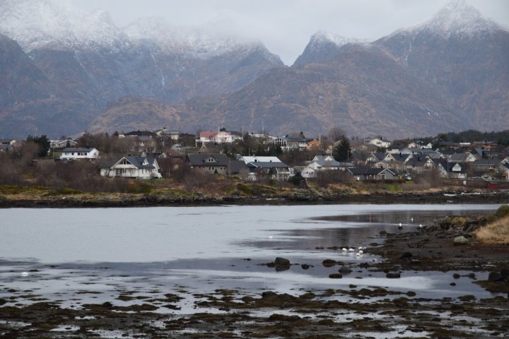 Fyglefjæra Fyglefjæra