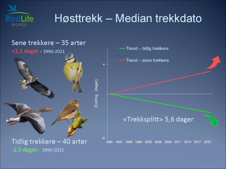 Trekksplitt Trekksplitt