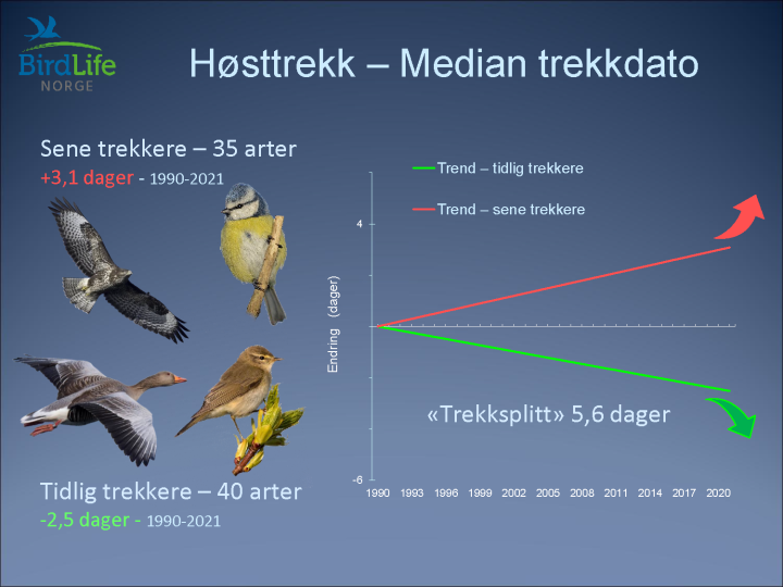 Trekksplitt