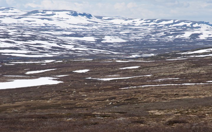 Bjoreidalen Bjoreidalen