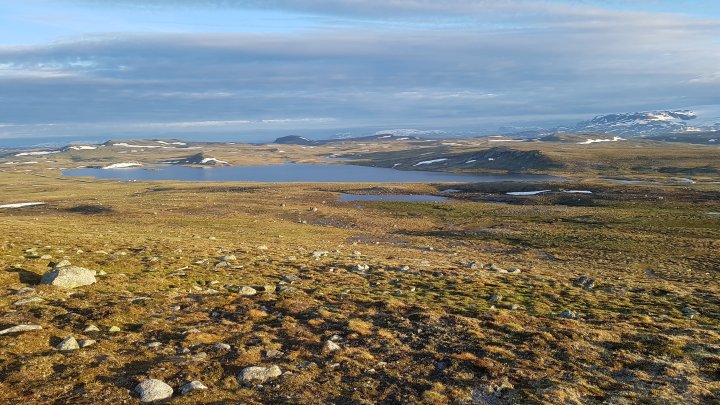 Utsikt mot nordøst fra Steinbunuten på Hardangervidda