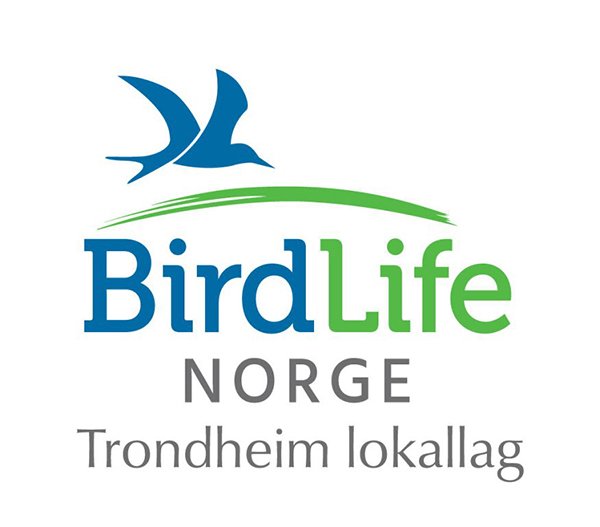 Logo Trondheim