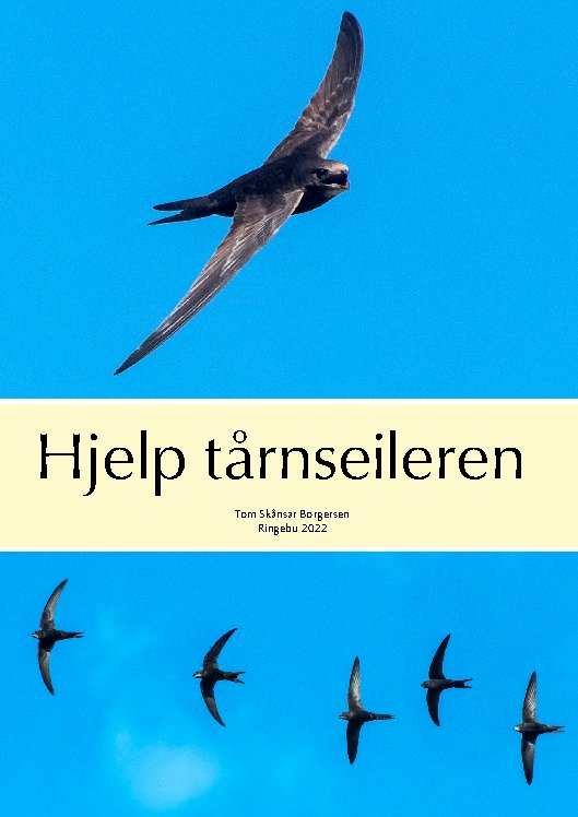 Hjelp tårnseileren