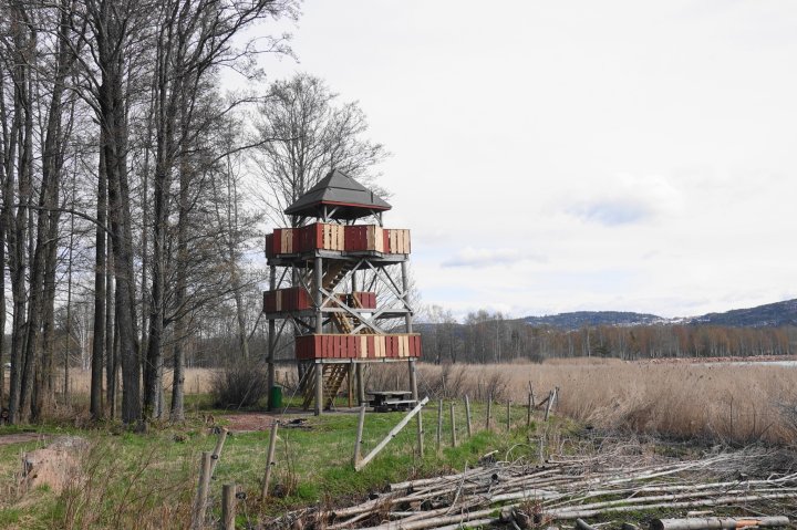 Fugletårnet på Grunnane, Svelvik