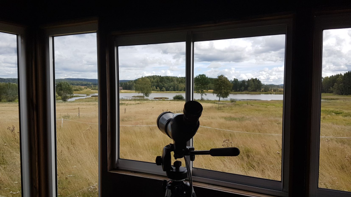 Utsikt bua Hæra naturreservat