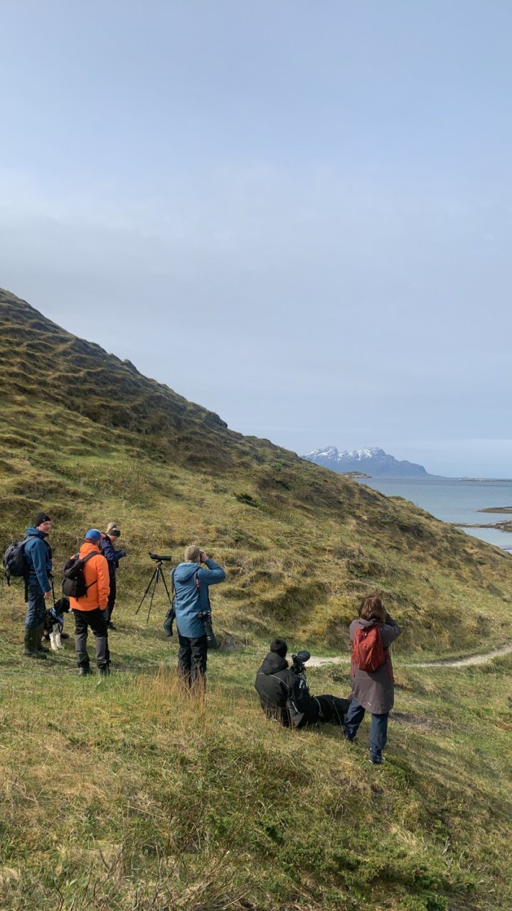 Fjære Fjære