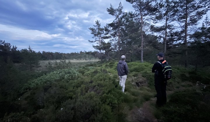 Fuglekikkere Fuglekikkere