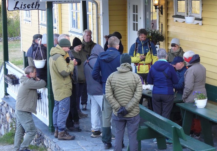 Ringmerking på Liseth Ringmerking på Liseth