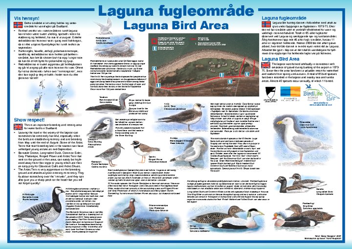 Fugleplakat Fugleplakat