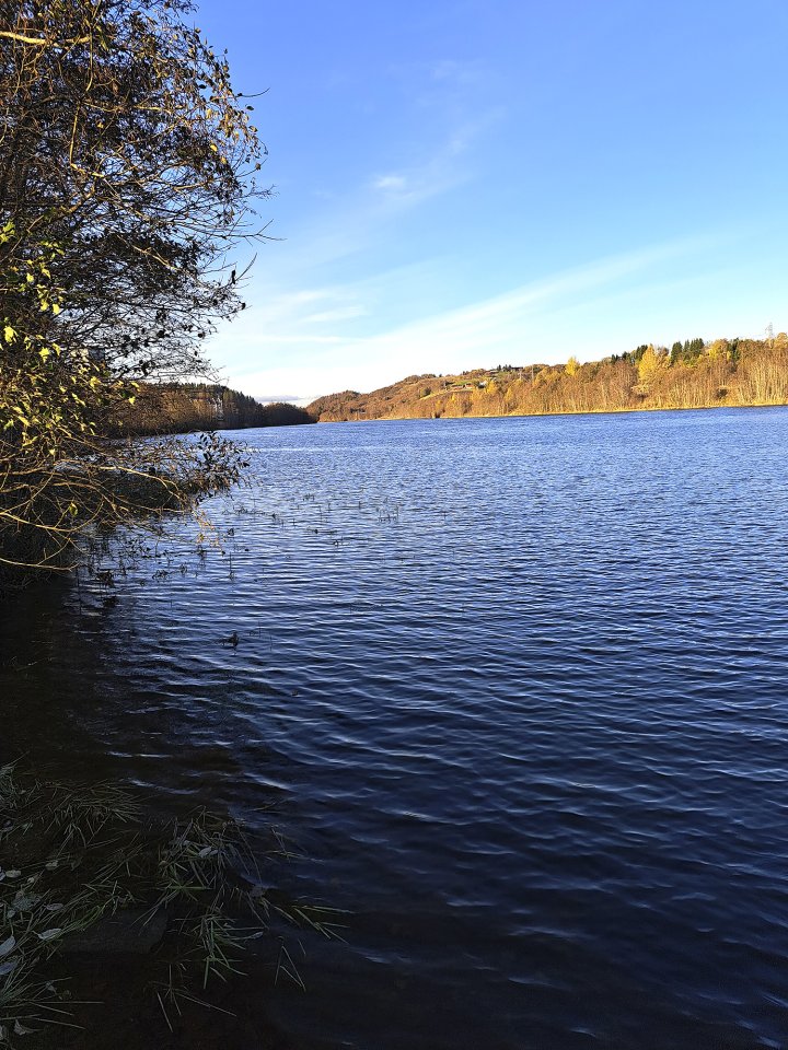 Nidelva ved Tillerbrua Nidelva ved Tillerbrua
