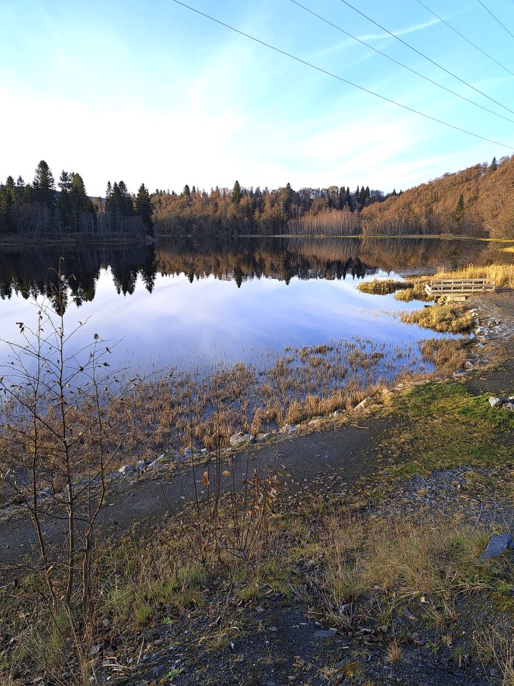 Nidelva ved Svean Nidelva ved Svean