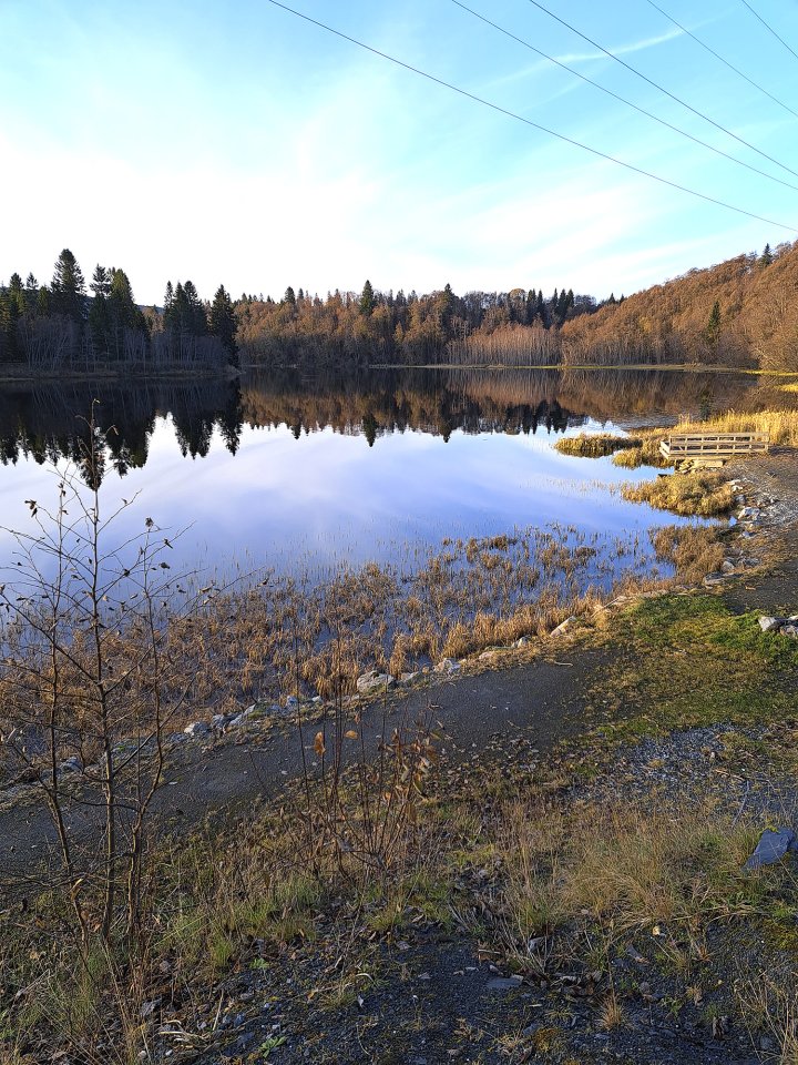 Nidelva ved Svean