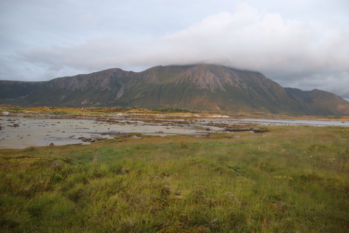 Laukvikøyene naturreservat