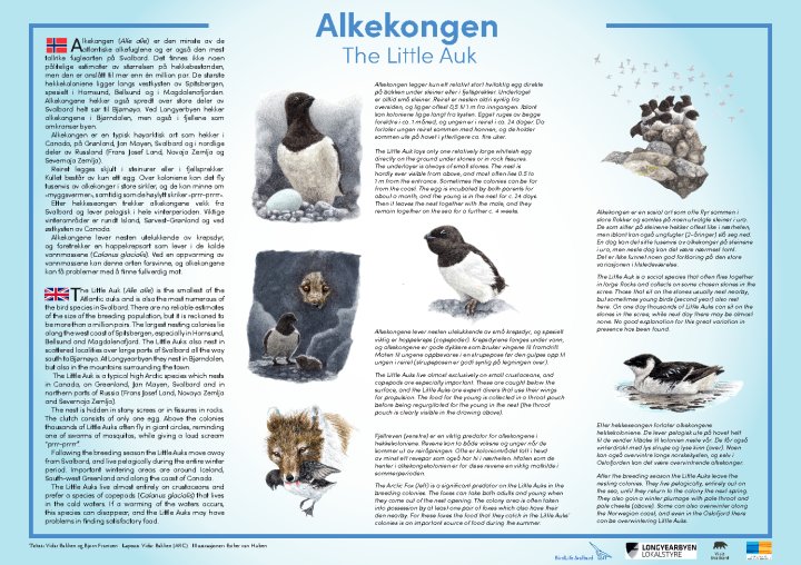 Alkekonge