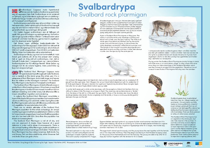 Svalbardrype