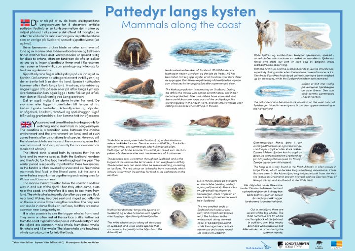 Pattedyr langs kysten