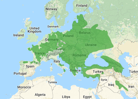 Hekkeutbredelsen til mellomspett Hekkeutbredelsen til mellomspett