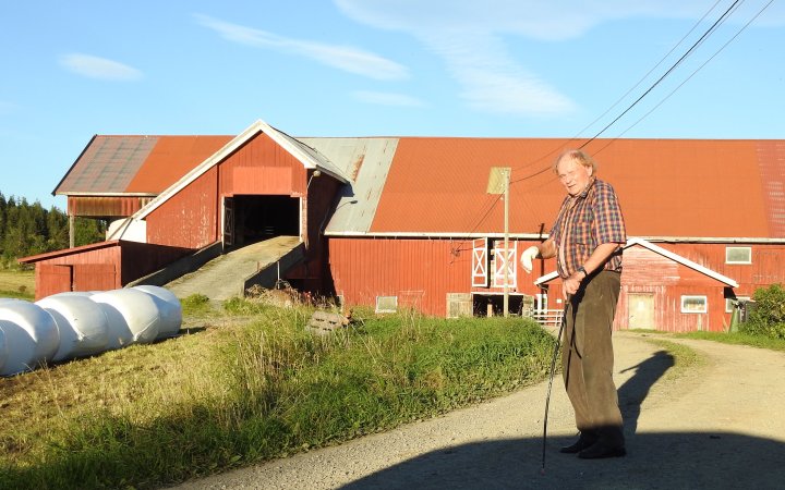 Mjør Mjør