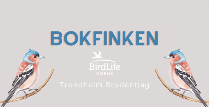 Bokfinken