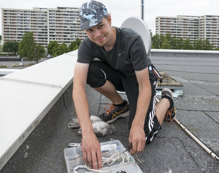 Sindre Molværsmyr Sindre Molværsmyr