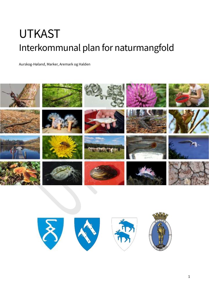 Naturmangfoldsplan utkast