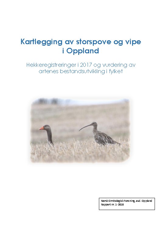 Vipe og storspove