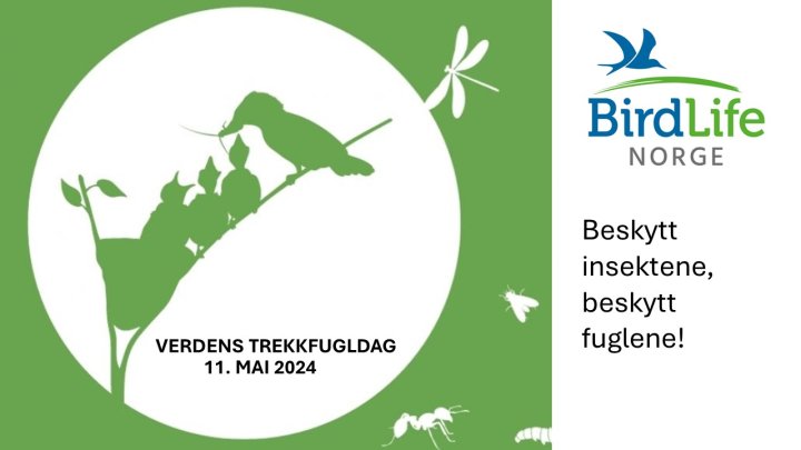 Verdens trekkfugldag 2024 Verdens trekkfugldag 2024