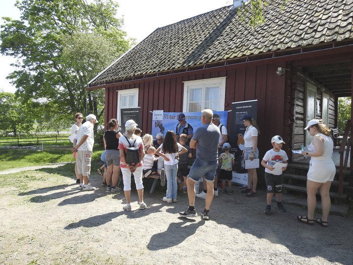 Fuglekassesnekring Holmen
