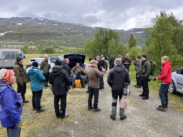 Klare for vanding i Isdalen