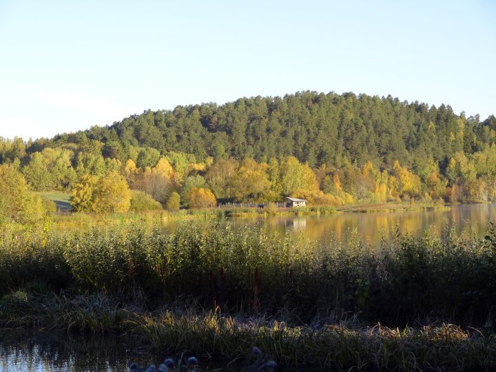 Tallbergåsen ved Østensjøvannet Tallbergåsen ved Østensjøvannet