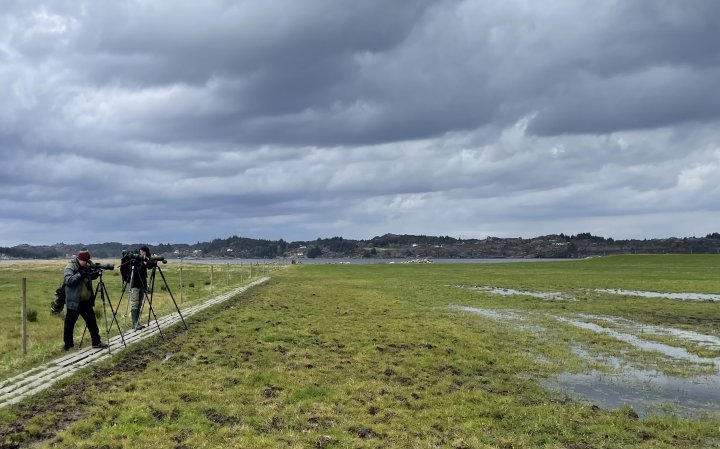 Fuglekikkere på Herdla Fuglekikkere på Herdla