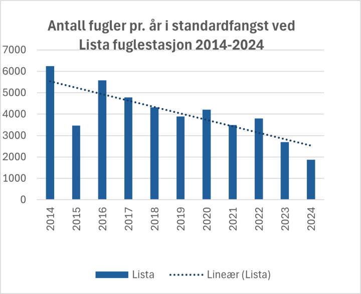 Utvikling i fangsttall ved Lista fuglestasjon Utvikling i fangsttall ved Lista fuglestasjon