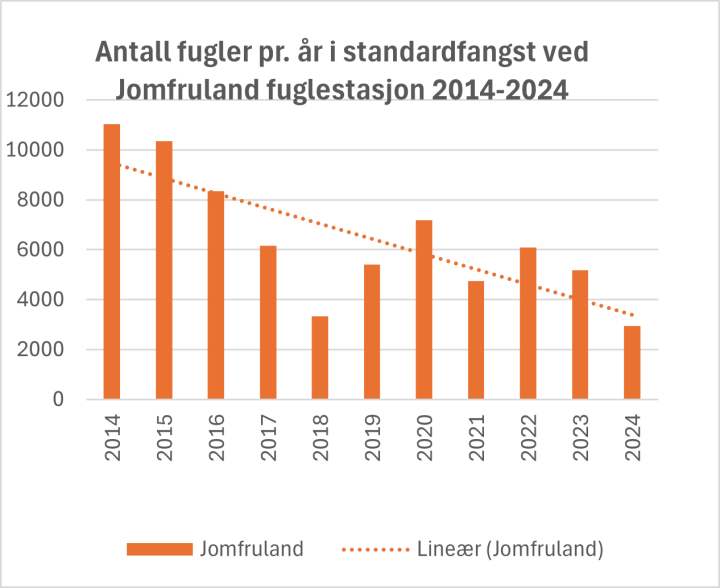 Utvikling i fangsttall ved Jomfruland Fuglestasjon Utvikling i fangsttall ved Jomfruland Fuglestasjon