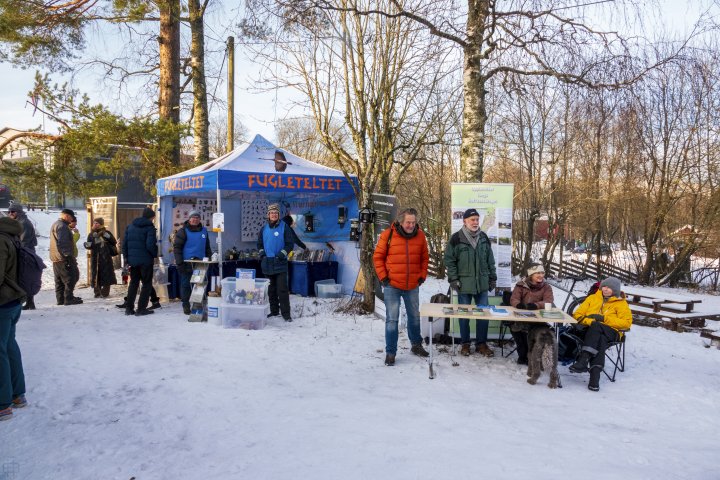 Fugleteltet Fugleteltet