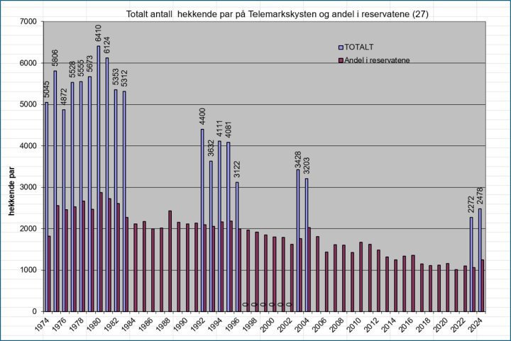 Figur 1 Utviklingen av antall hekkende par i reservatene (årlige opptellinger) og totalt på kysten (reservatene er inkludert) Figur 1 Utviklingen av antall hekkende par i reservatene (årlige opptellinger) og totalt på kysten (reservatene er inkludert)