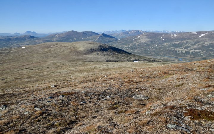 Fjellerkehabitat i Rondane Fjellerkehabitat i Rondane