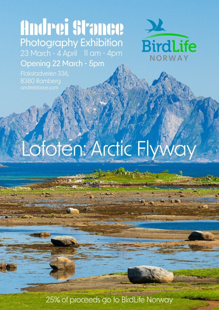 Arctic Flyway