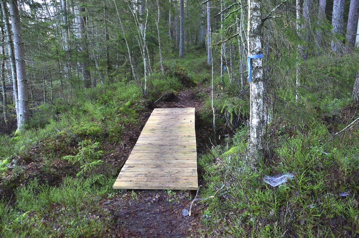Klopper i skogkanten ved Gjennestadvannet.