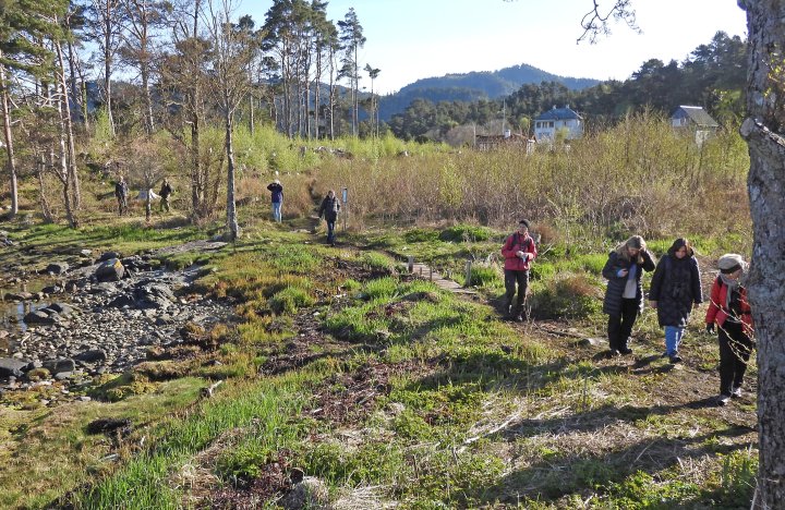 Mykje å høyre i skogen i reservatet
